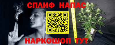 PSILOCYBIN Балашиха