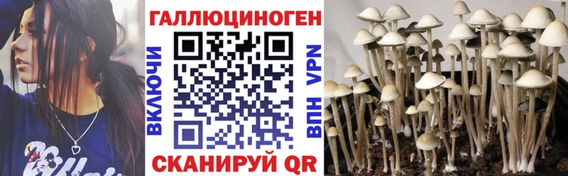 mega tor  Ноябрьск  Псилоцибиновые грибы MAGIC MUSHROOMS 