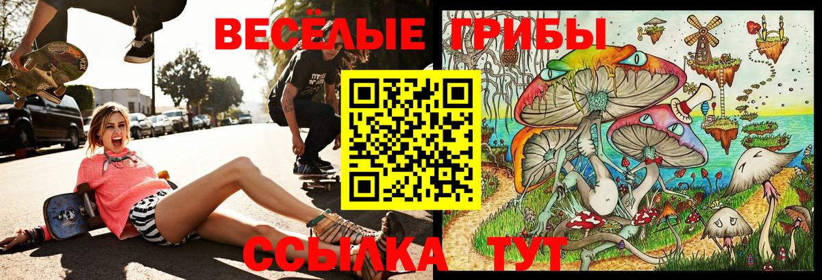 Ноябрьск  купить  цена  Вход с VPN  Псилоцибиновые грибы мицелий 
