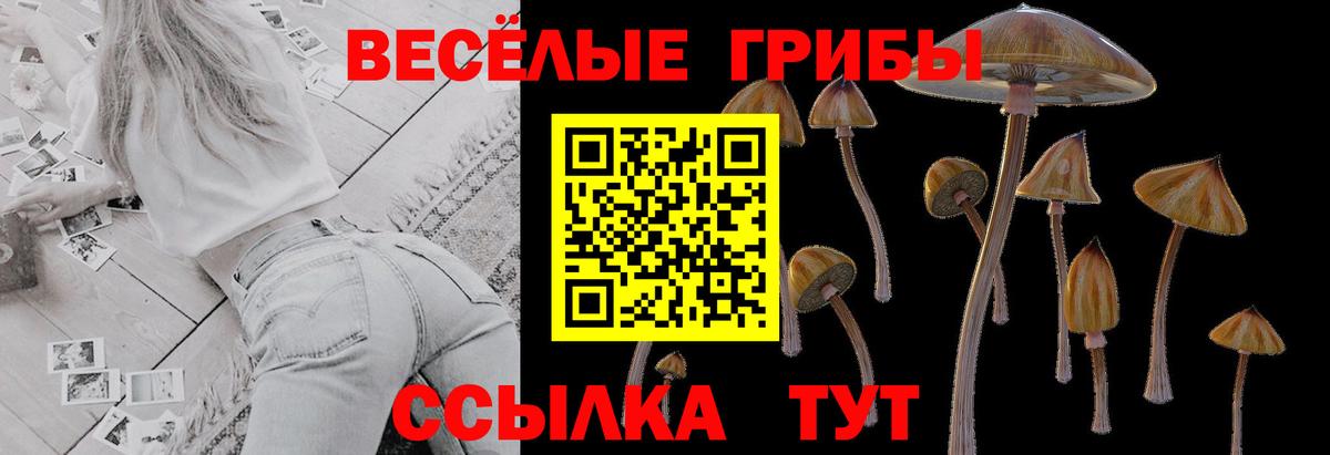 Псилоцибиновые грибы мухоморы Ноябрьск