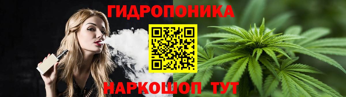 Канабис планчик  Канабис конопля  Вход с VPN  Бошки марихуана THC 21%  Ноябрьск 